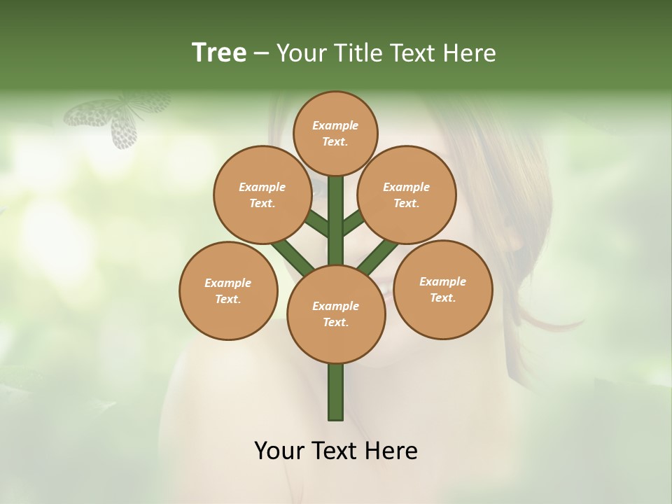 Pinus Freigestellt Nebari PowerPoint Template