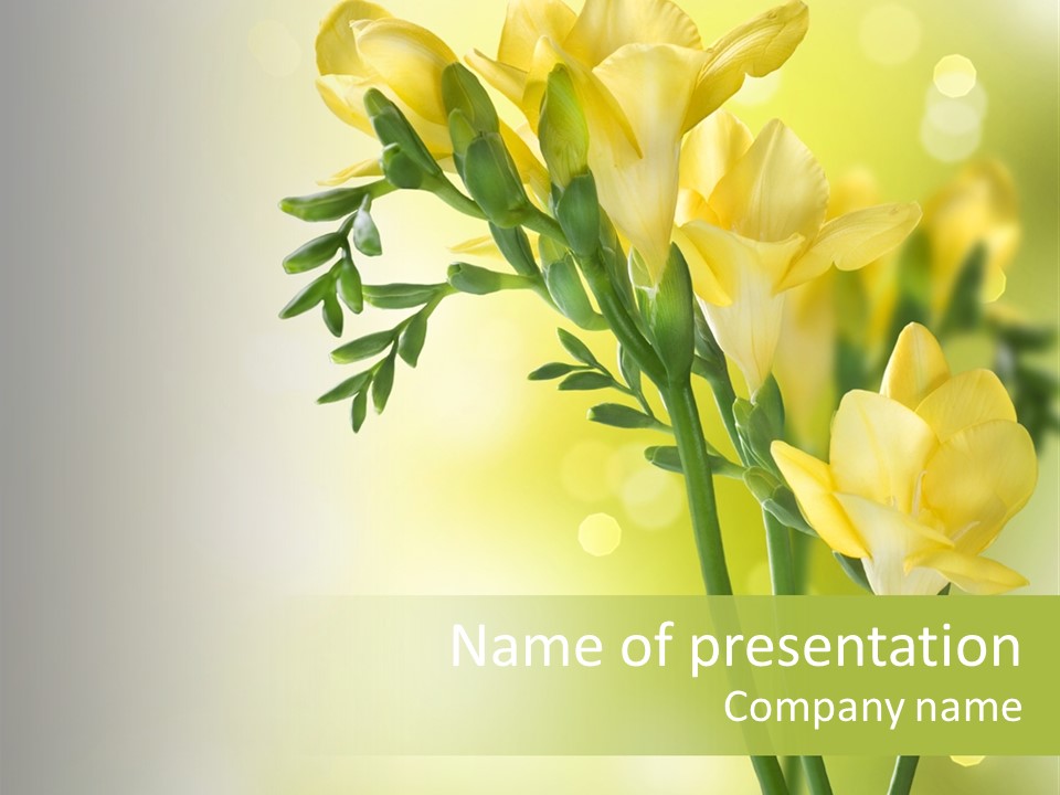Copy Space Bloom Greeting PowerPoint Template