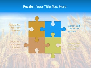 Eating Foliage Leaf PowerPoint Template