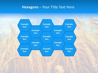 Eating Foliage Leaf PowerPoint Template