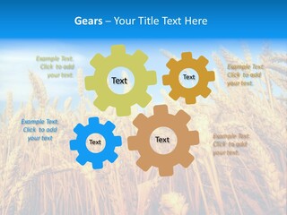 Eating Foliage Leaf PowerPoint Template