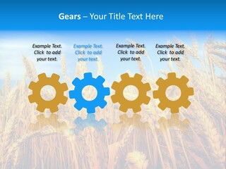 Eating Foliage Leaf PowerPoint Template