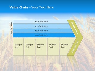 Eating Foliage Leaf PowerPoint Template