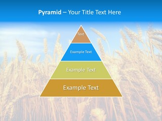 Eating Foliage Leaf PowerPoint Template