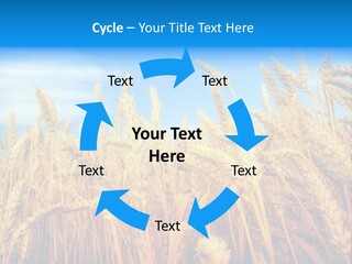 Eating Foliage Leaf PowerPoint Template