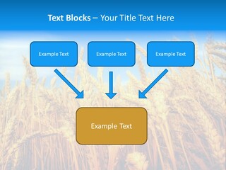 Eating Foliage Leaf PowerPoint Template