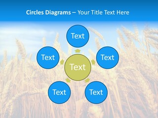 Eating Foliage Leaf PowerPoint Template