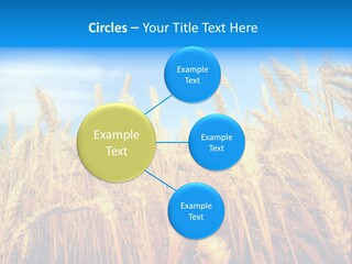 Eating Foliage Leaf PowerPoint Template