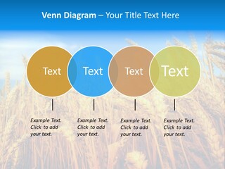 Eating Foliage Leaf PowerPoint Template