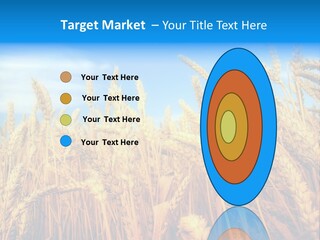 Eating Foliage Leaf PowerPoint Template