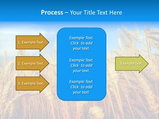Eating Foliage Leaf PowerPoint Template