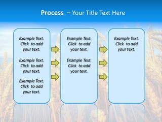 Eating Foliage Leaf PowerPoint Template