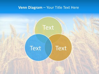 Eating Foliage Leaf PowerPoint Template