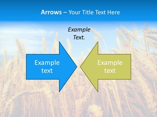 Eating Foliage Leaf PowerPoint Template