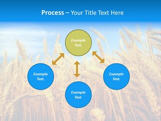 Eating Foliage Leaf PowerPoint Template