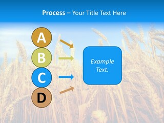 Eating Foliage Leaf PowerPoint Template