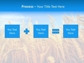 Eating Foliage Leaf PowerPoint Template