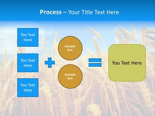 Eating Foliage Leaf PowerPoint Template