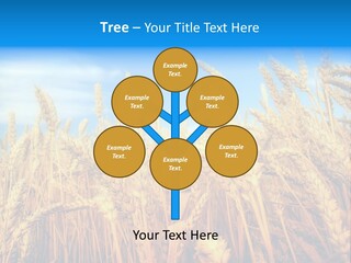Eating Foliage Leaf PowerPoint Template