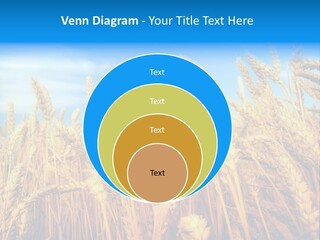 Eating Foliage Leaf PowerPoint Template