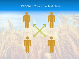 Eating Foliage Leaf PowerPoint Template