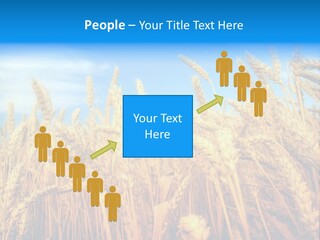 Eating Foliage Leaf PowerPoint Template