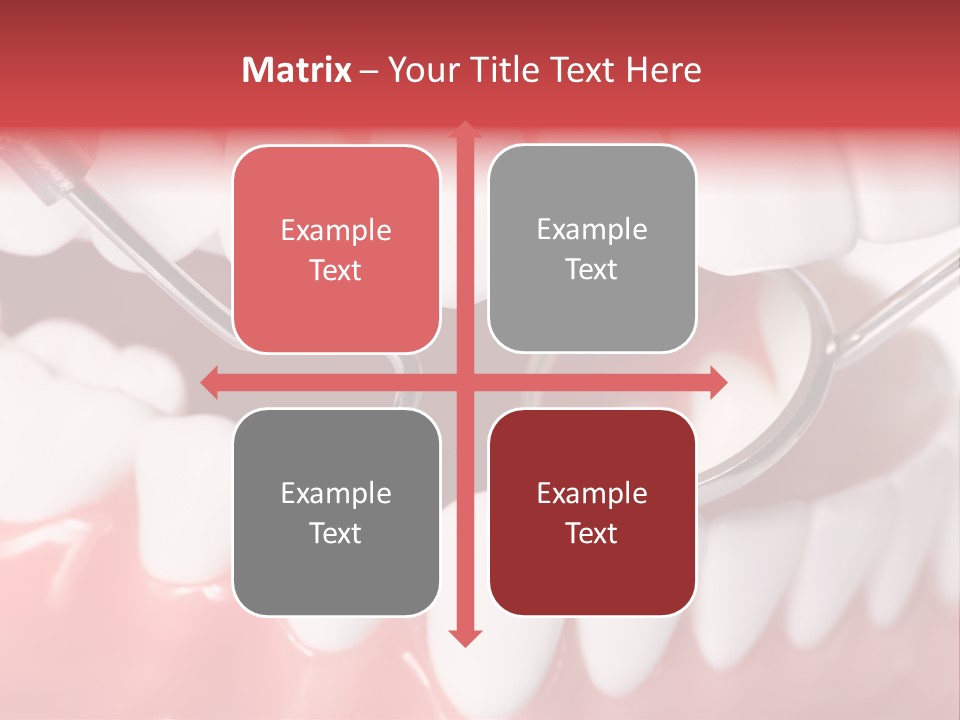 Model Anatomical Healthy PowerPoint Template