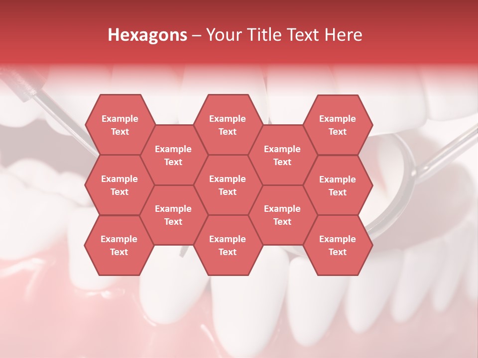 Model Anatomical Healthy PowerPoint Template