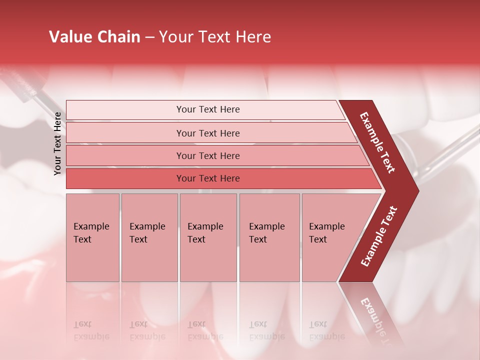 Model Anatomical Healthy PowerPoint Template