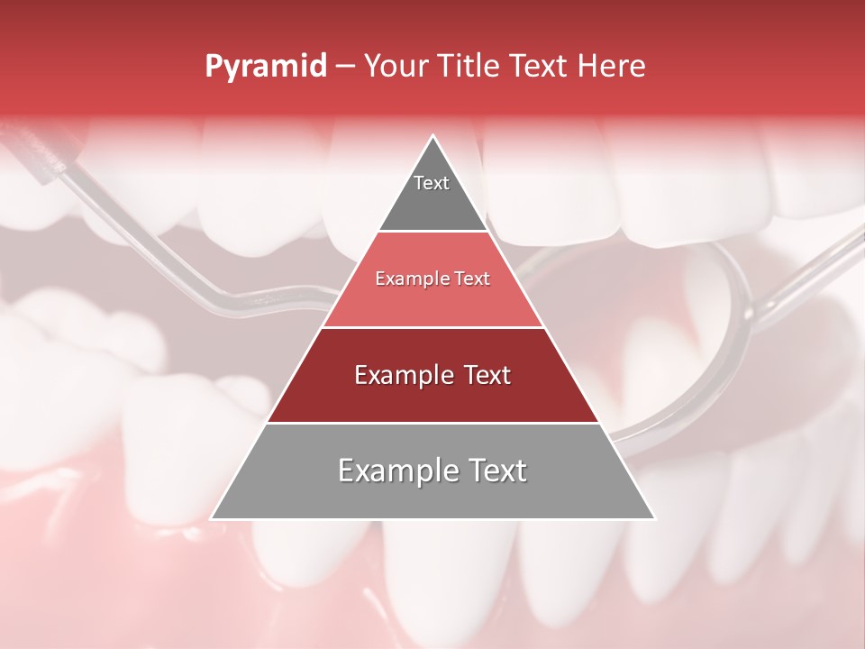 Model Anatomical Healthy PowerPoint Template