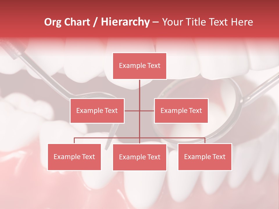 Model Anatomical Healthy PowerPoint Template