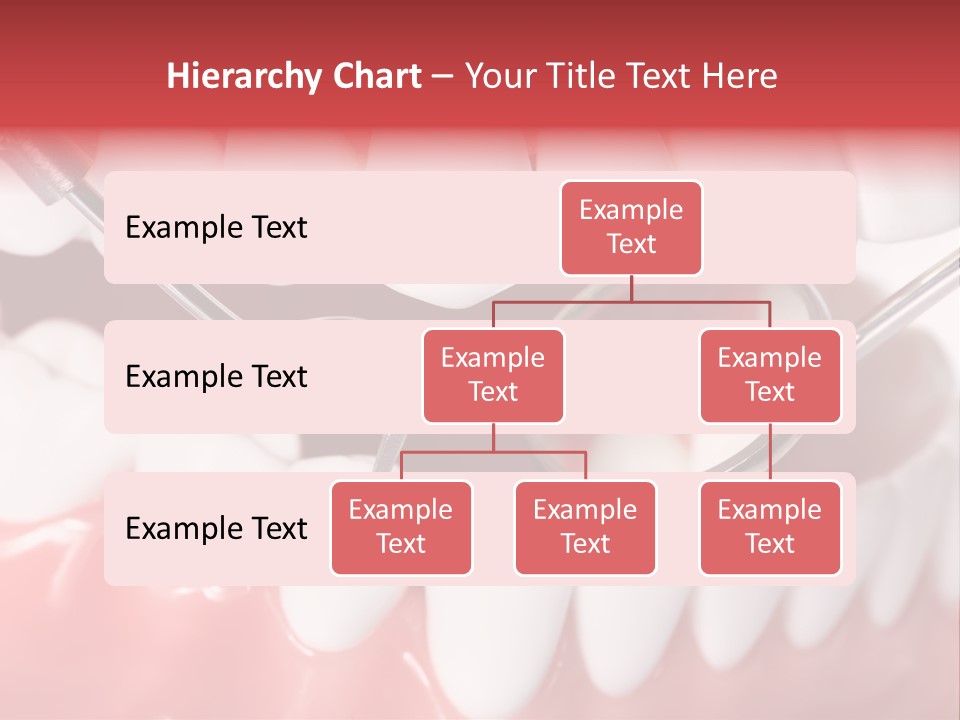 Model Anatomical Healthy PowerPoint Template
