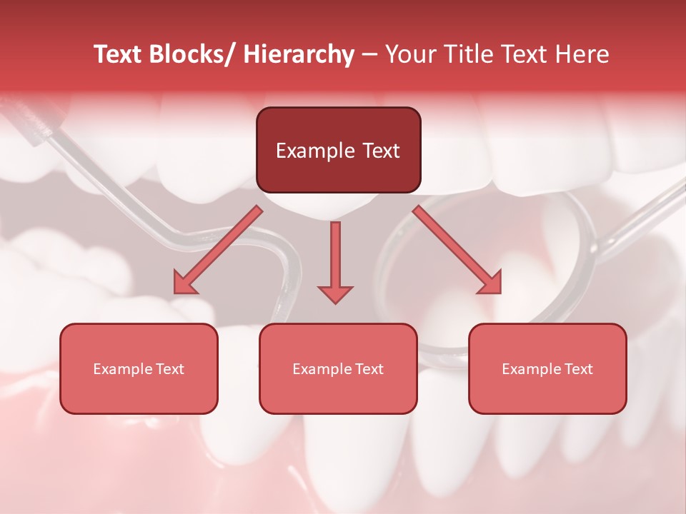 Model Anatomical Healthy PowerPoint Template