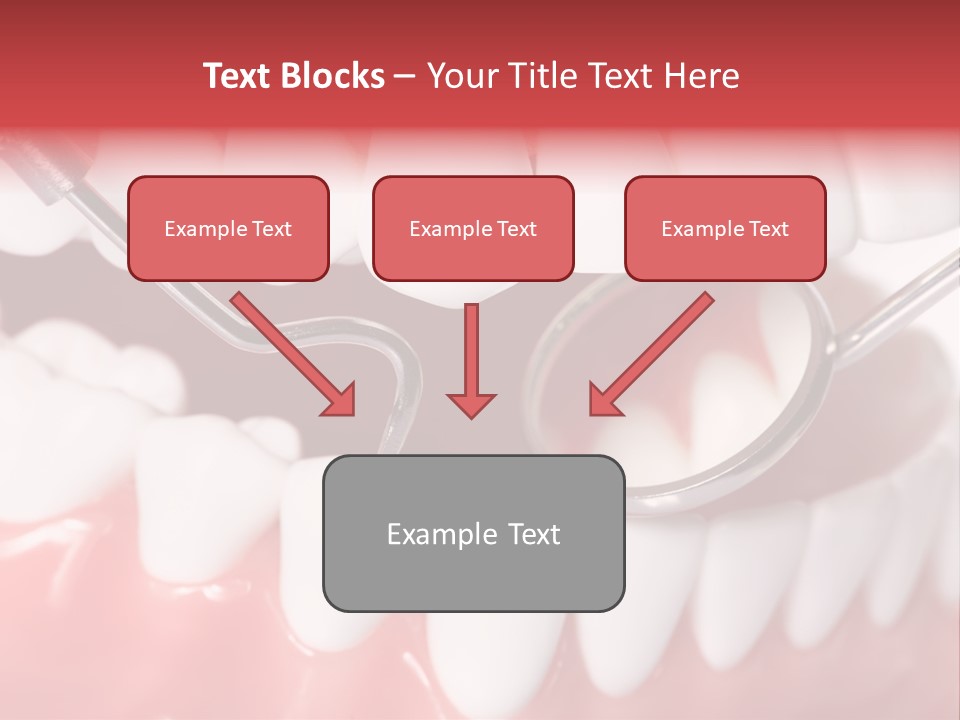 Model Anatomical Healthy PowerPoint Template
