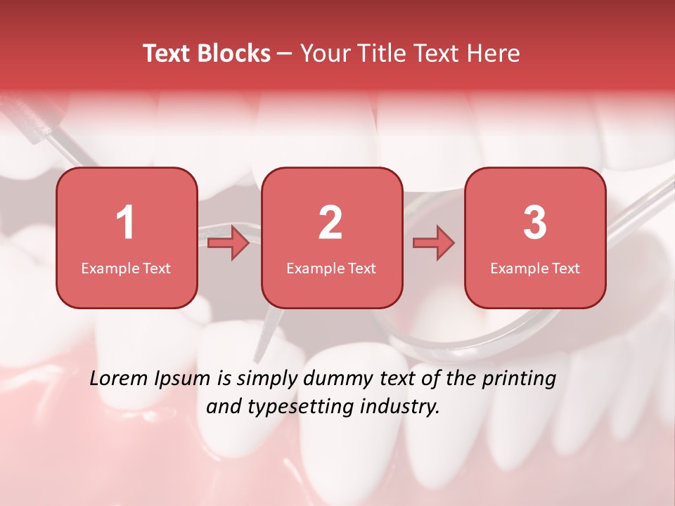 Model Anatomical Healthy PowerPoint Template