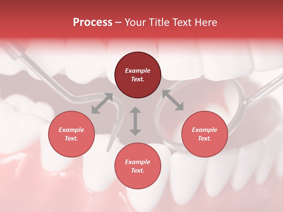 Model Anatomical Healthy PowerPoint Template