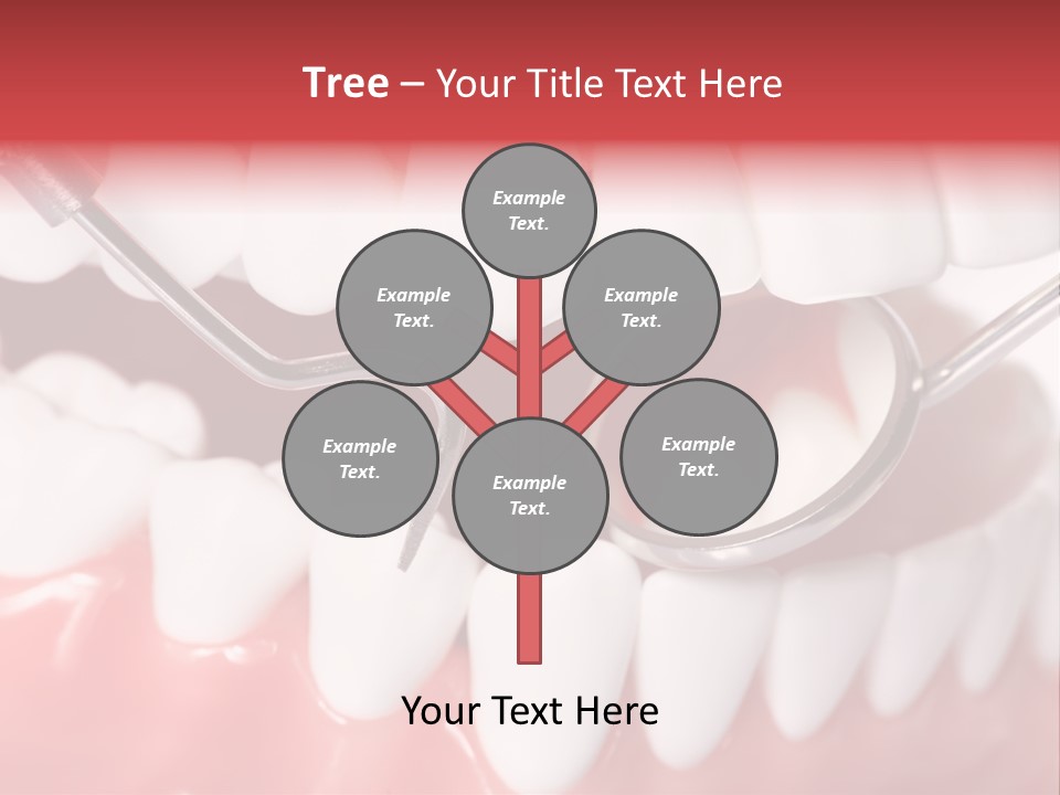 Model Anatomical Healthy PowerPoint Template