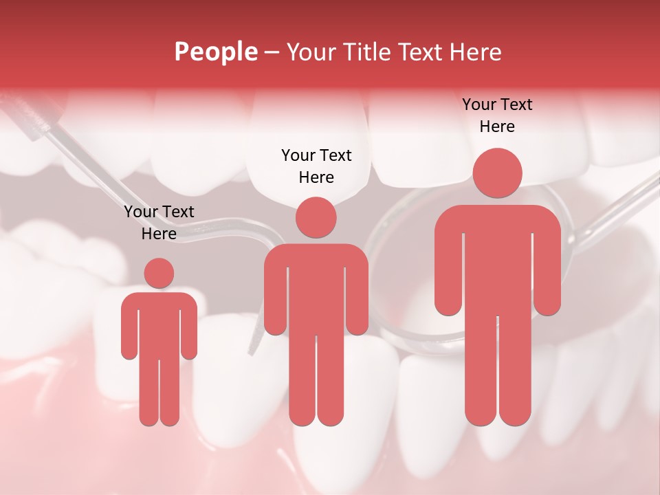 Model Anatomical Healthy PowerPoint Template