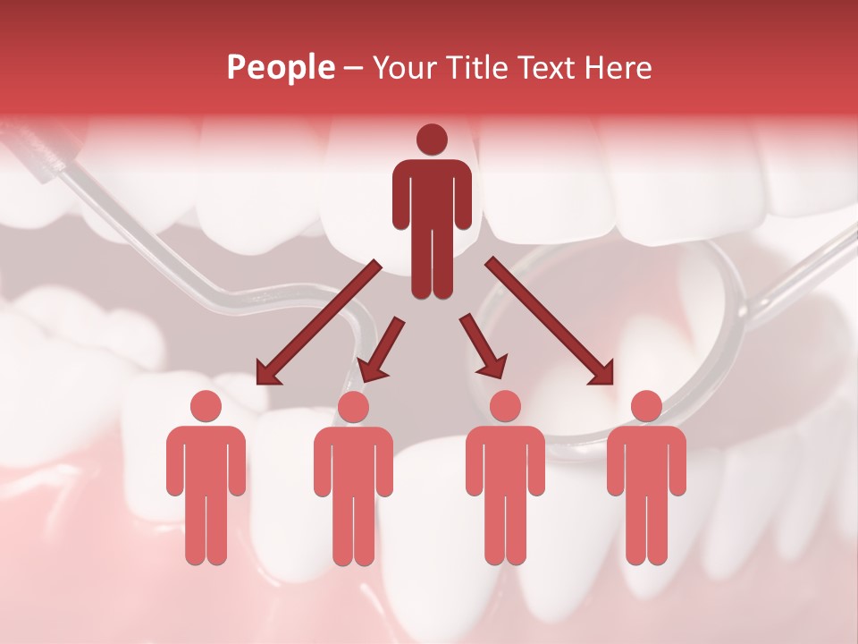 Model Anatomical Healthy PowerPoint Template