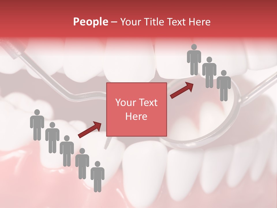 Model Anatomical Healthy PowerPoint Template
