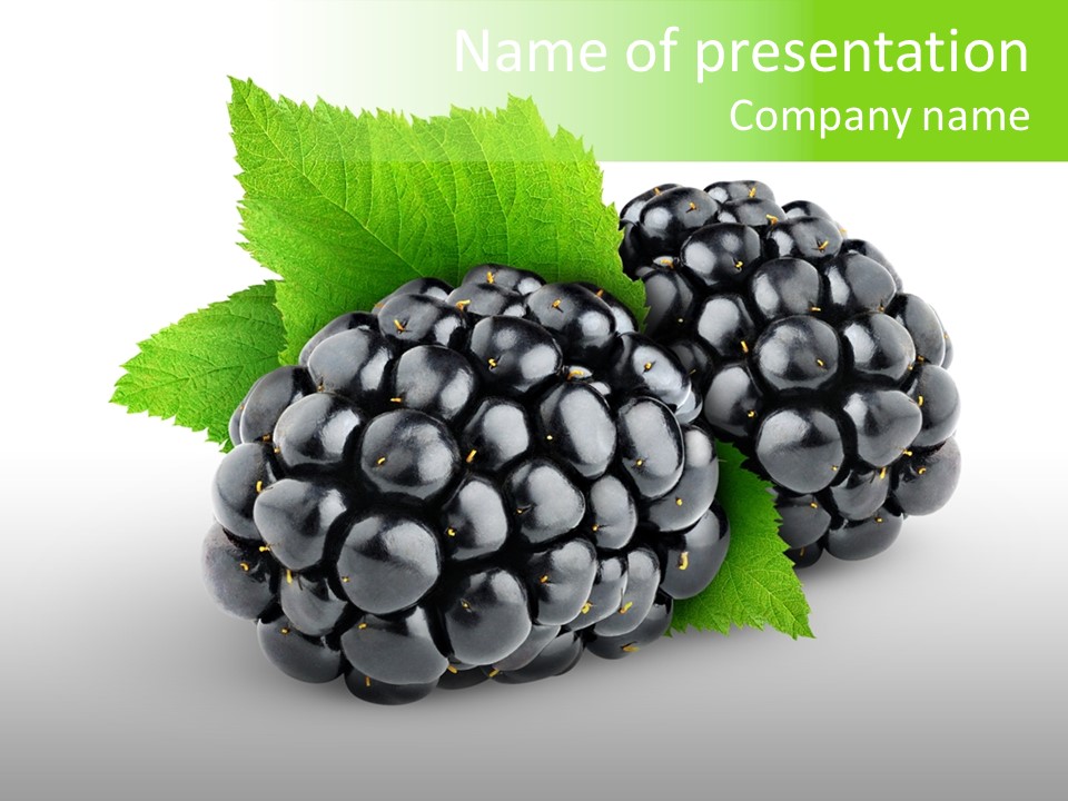 Juicy Healthy Dewberry PowerPoint Template