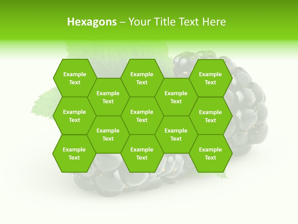 Juicy Healthy Dewberry PowerPoint Template