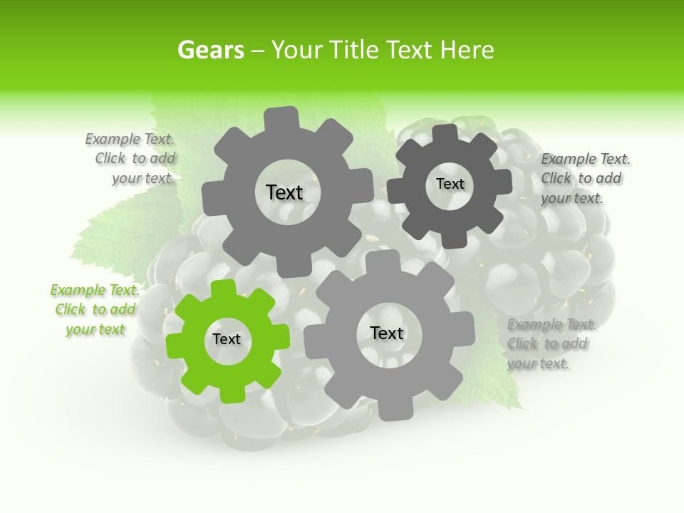 Juicy Healthy Dewberry PowerPoint Template