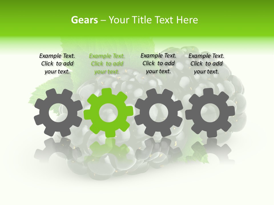 Juicy Healthy Dewberry PowerPoint Template