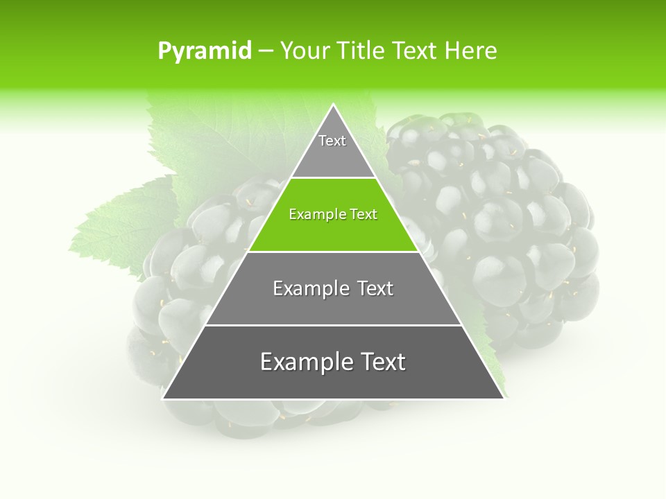 Juicy Healthy Dewberry PowerPoint Template