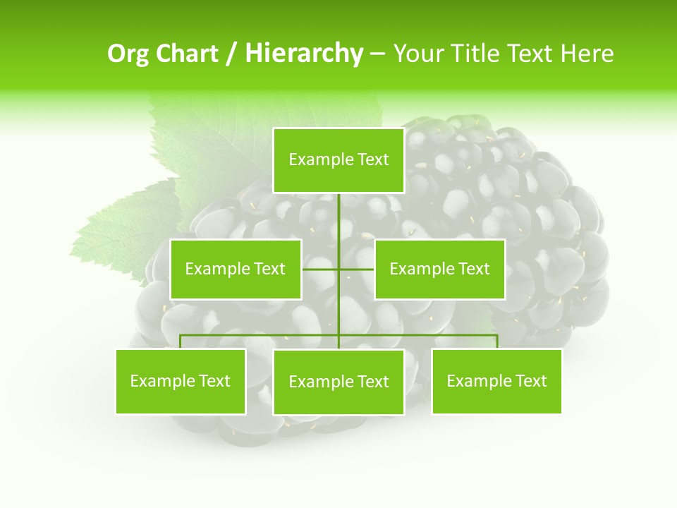 Juicy Healthy Dewberry PowerPoint Template