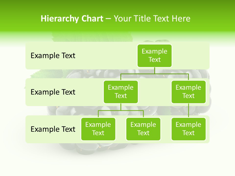 Juicy Healthy Dewberry PowerPoint Template
