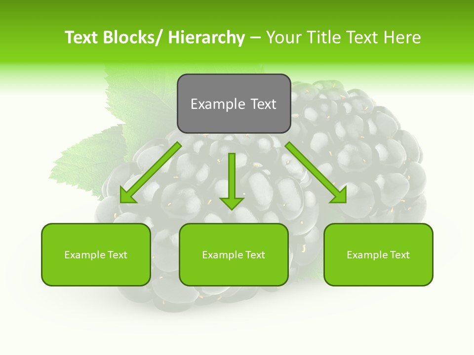 Juicy Healthy Dewberry PowerPoint Template