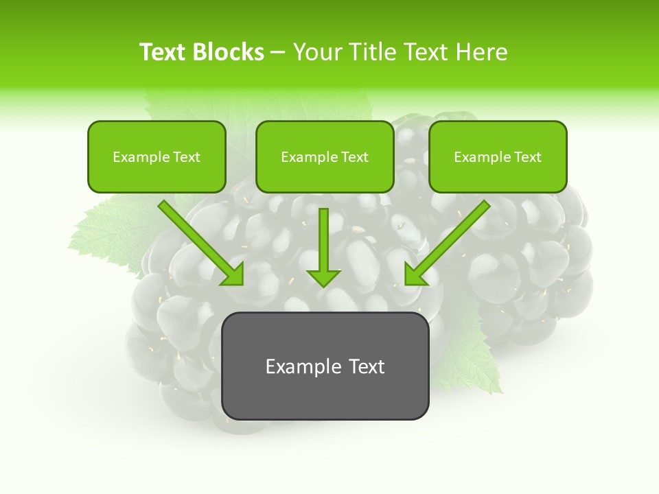 Juicy Healthy Dewberry PowerPoint Template