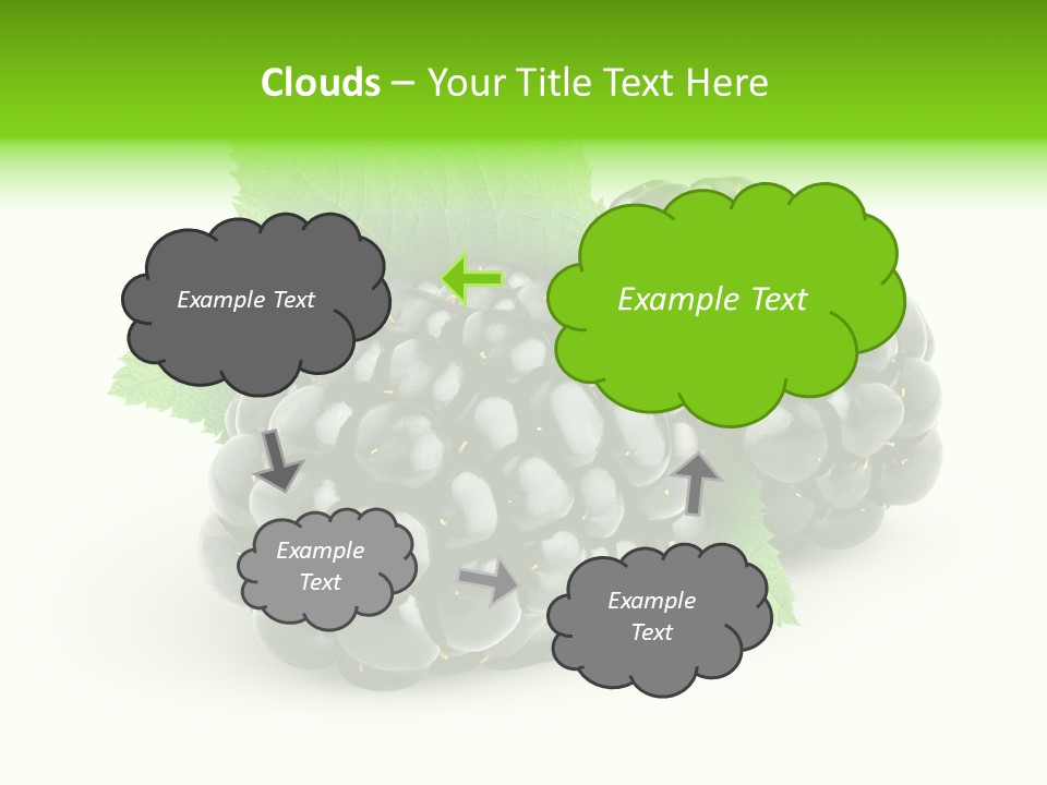 Juicy Healthy Dewberry PowerPoint Template